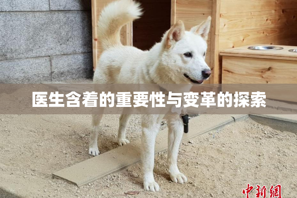 医生含着的重要性与变革的探索