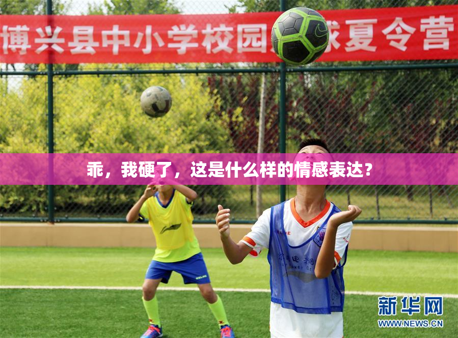 乖，我硬了，这是什么样的情感表达？