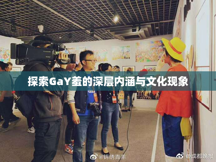 探索GaY羞的深层内涵与文化现象
