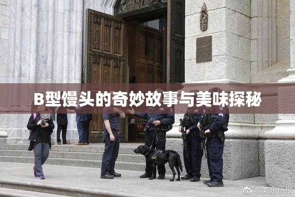 B型馒头的奇妙故事与美味探秘