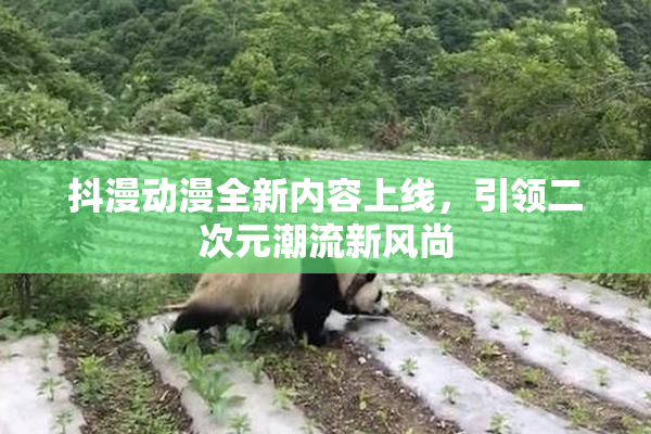 抖漫动漫全新内容上线，引领二次元潮流新风尚