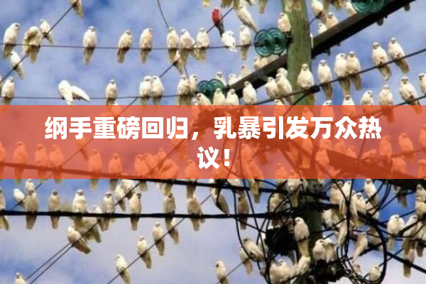 纲手重磅回归，乳暴引发万众热议！