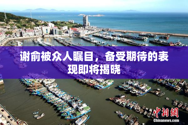 谢俞被众人瞩目，备受期待的表现即将揭晓