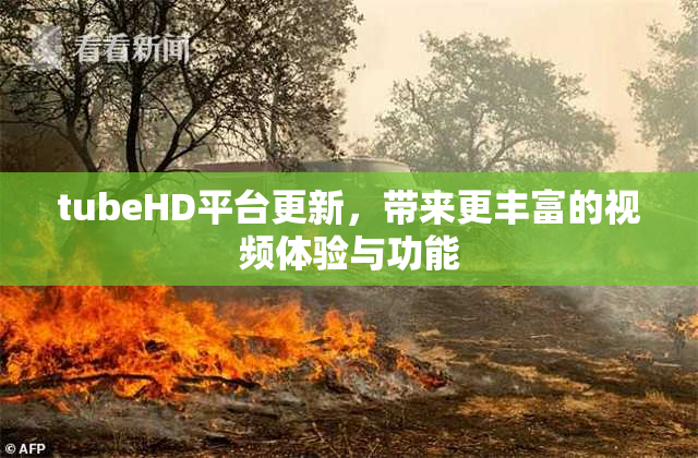 tubeHD平台更新，带来更丰富的视频体验与功能