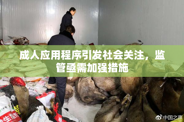 成人应用程序引发社会关注，监管亟需加强措施