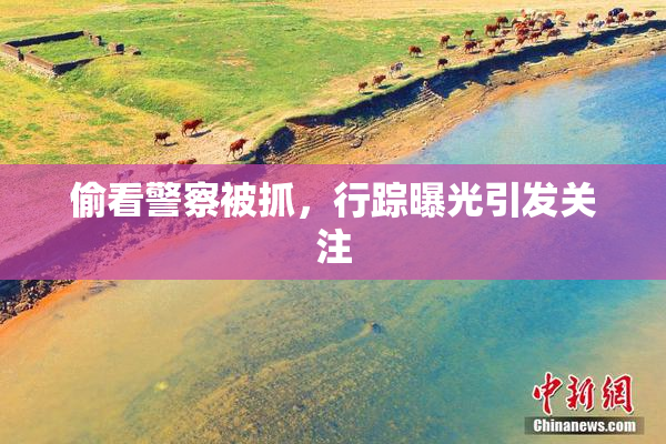 偷看警察被抓，行踪曝光引发关注