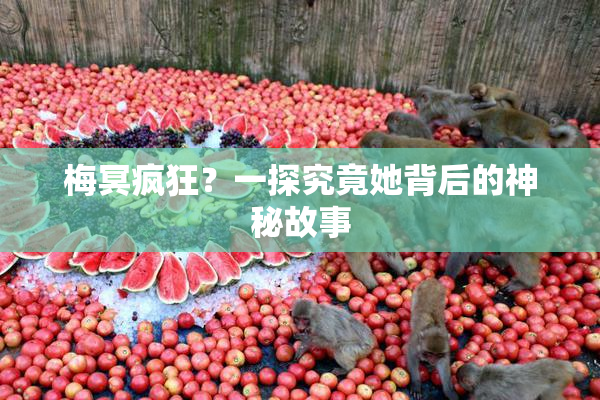 梅冥疯狂？一探究竟她背后的神秘故事