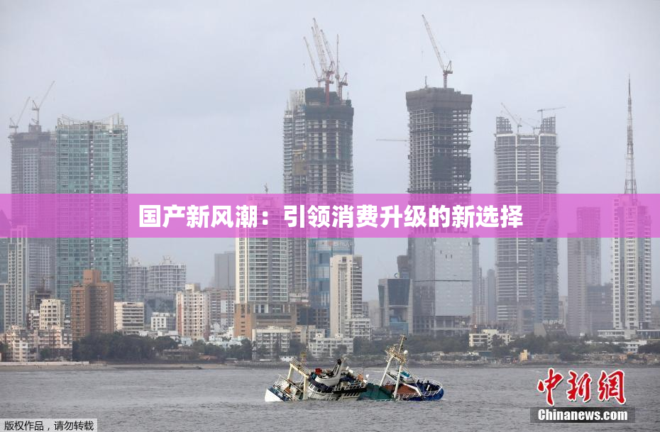 国产新风潮：引领消费升级的新选择