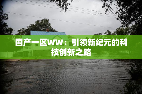 国产一区WW：引领新纪元的科技创新之路