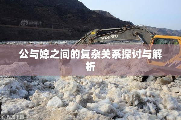 公与媳之间的复杂关系探讨与解析