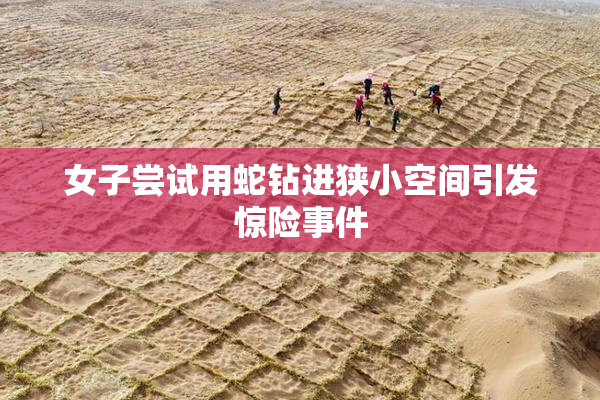女子尝试用蛇钻进狭小空间引发惊险事件
