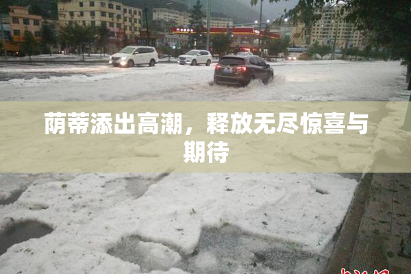 荫蒂添出高潮，释放无尽惊喜与期待