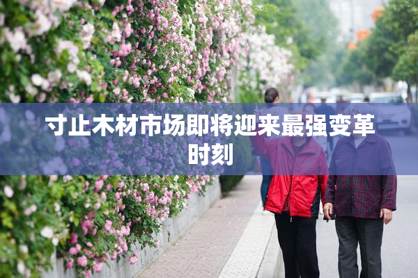 寸止木材市场即将迎来最强变革时刻