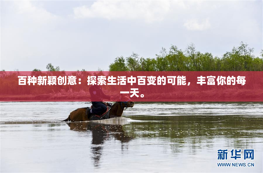 百种新颖创意：探索生活中百变的可能，丰富你的每一天。