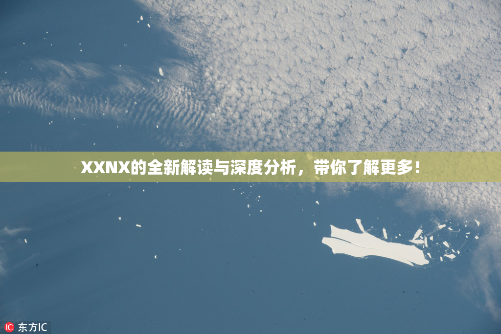 XXNX的全新解读与深度分析，带你了解更多！