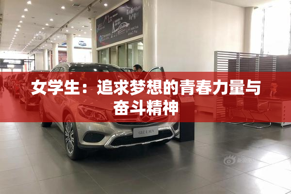 女学生：追求梦想的青春力量与奋斗精神