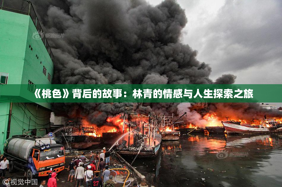 《桃色》背后的故事：林青的情感与人生探索之旅