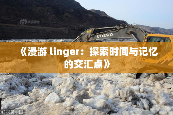 《漫游 linger：探索时间与记忆的交汇点》