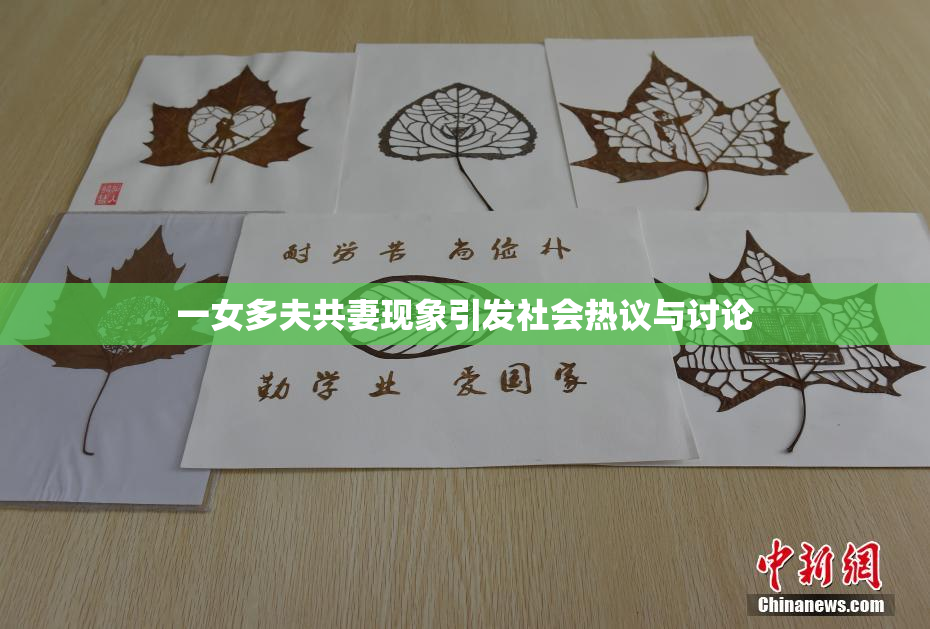 一女多夫共妻现象引发社会热议与讨论