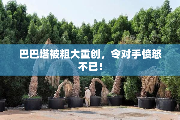巴巴塔被粗大重创，令对手愤怒不已！