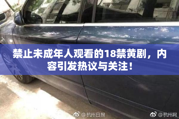 禁止未成年人观看的18禁黄剧，内容引发热议与关注！