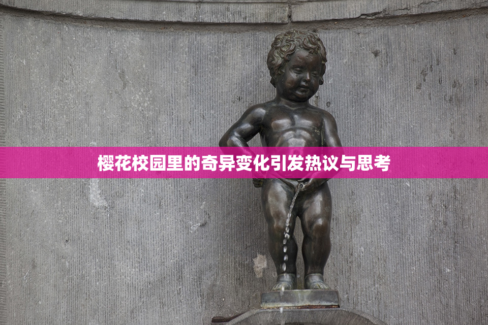 樱花校园里的奇异变化引发热议与思考