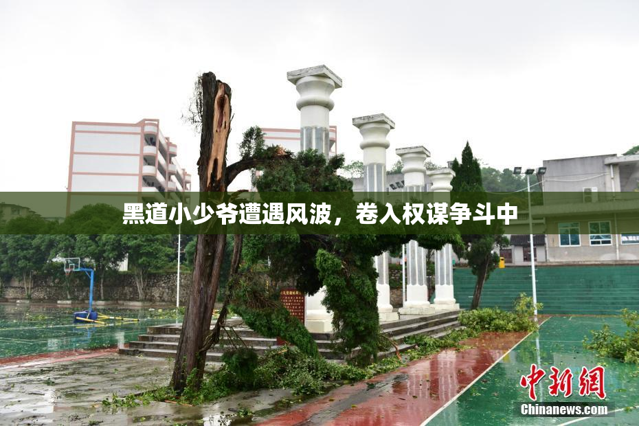 黑道小少爷遭遇风波，卷入权谋争斗中