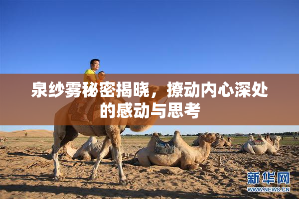 泉纱雾秘密揭晓，撩动内心深处的感动与思考