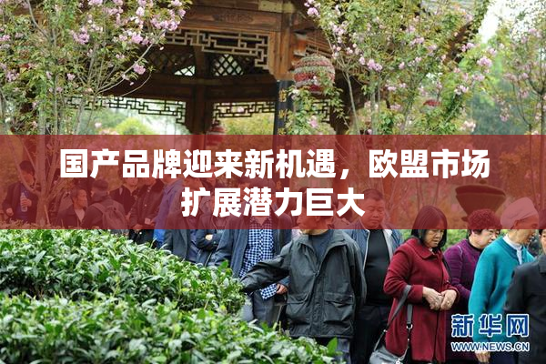 国产品牌迎来新机遇，欧盟市场扩展潜力巨大