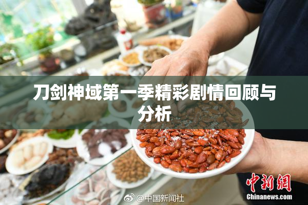 刀剑神域第一季精彩剧情回顾与分析