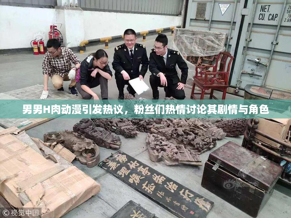 男男H肉动漫引发热议，粉丝们热情讨论其剧情与角色