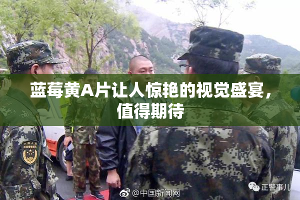 蓝莓黄A片让人惊艳的视觉盛宴，值得期待