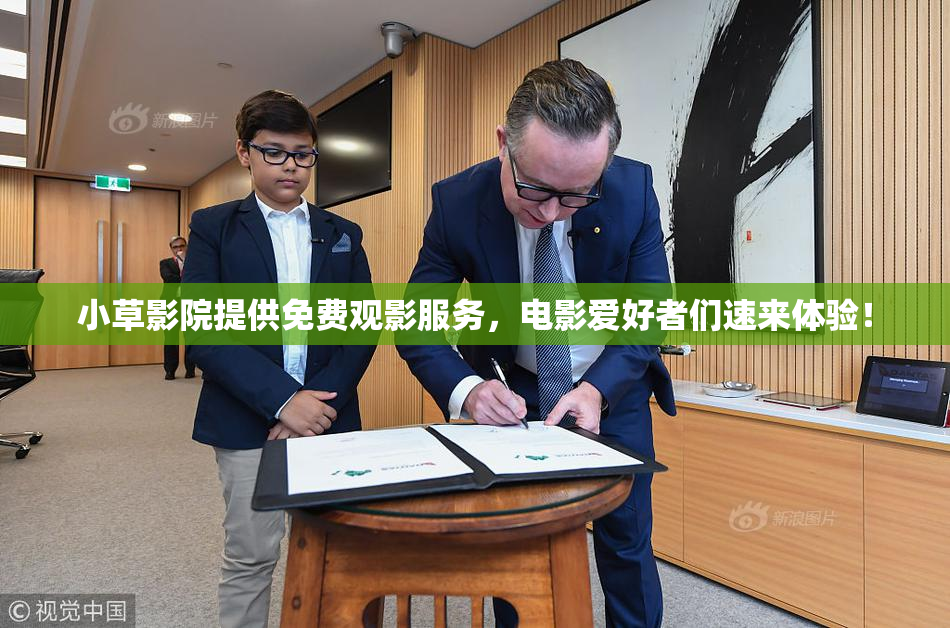 小草影院提供免费观影服务，电影爱好者们速来体验！