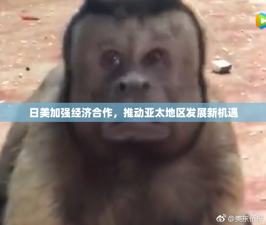 日美加强经济合作，推动亚太地区发展新机遇