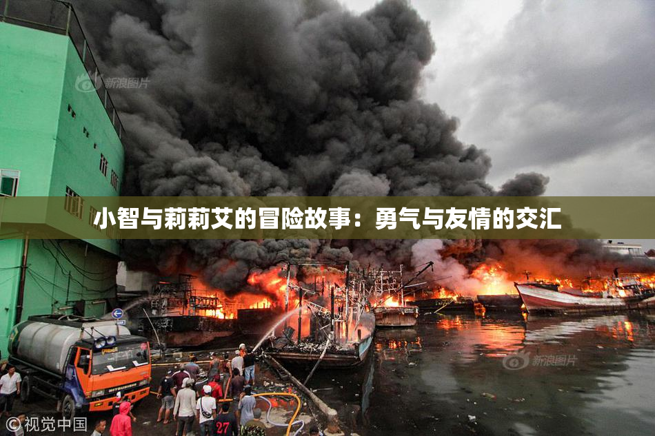 小智与莉莉艾的冒险故事：勇气与友情的交汇