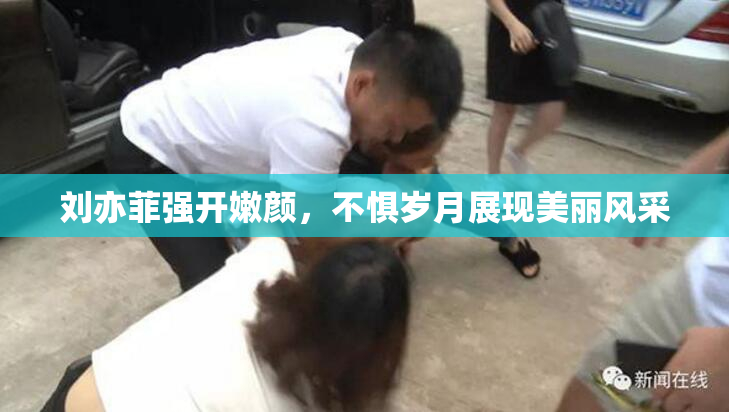 刘亦菲强开嫩颜，不惧岁月展现美丽风采