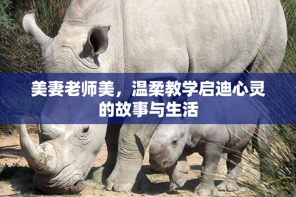 美妻老师美，温柔教学启迪心灵的故事与生活
