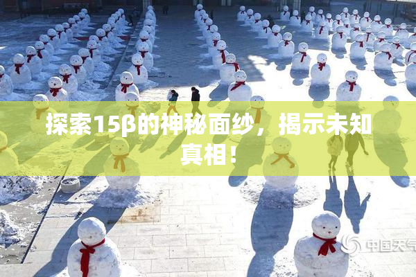 探索15β的神秘面纱，揭示未知真相！