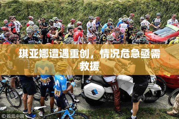 琪亚娜遭遇重创，情况危急亟需救援