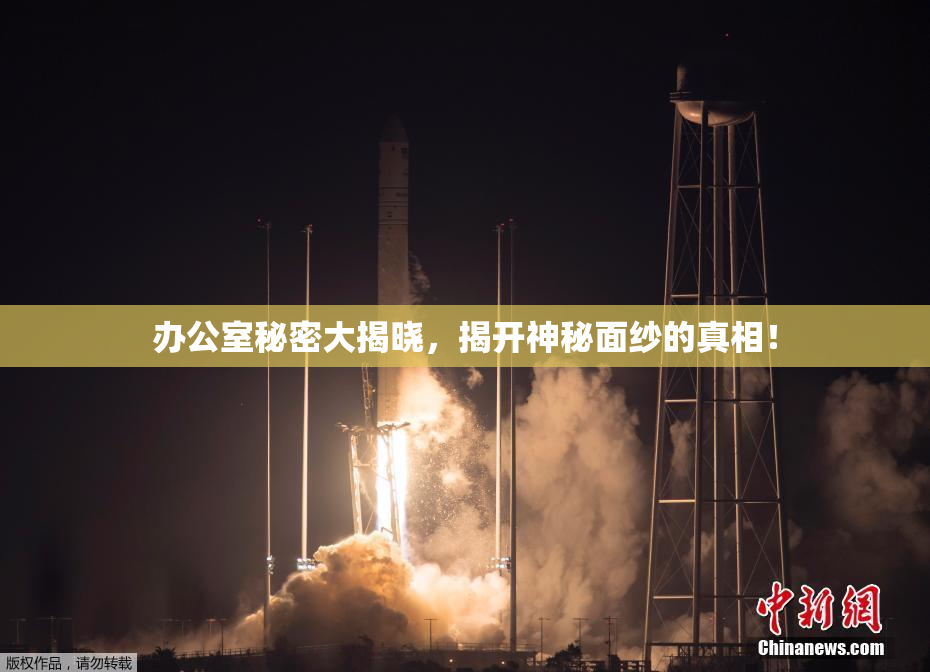 办公室秘密大揭晓，揭开神秘面纱的真相！