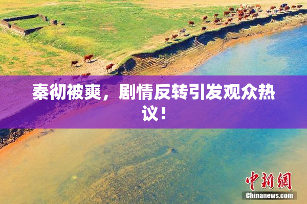 秦彻被爽，剧情反转引发观众热议！