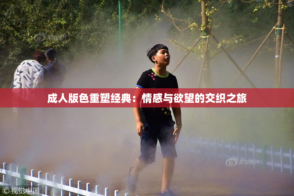 成人版色重塑经典：情感与欲望的交织之旅