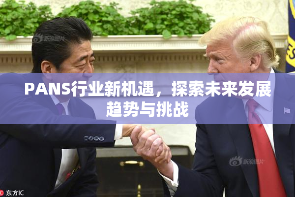 PANS行业新机遇，探索未来发展趋势与挑战