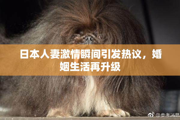 日本人妻激情瞬间引发热议，婚姻生活再升级