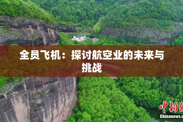 全员飞机：探讨航空业的未来与挑战