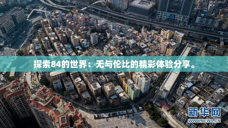 探索84的世界：无与伦比的精彩体验分享。