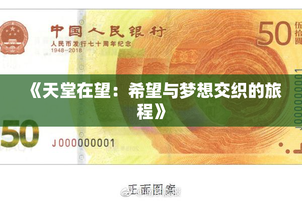 《天堂在望：希望与梦想交织的旅程》