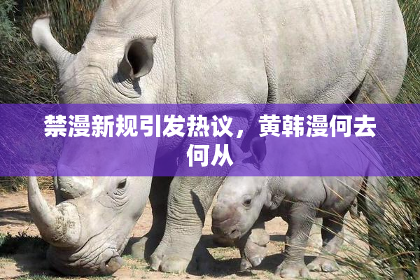 禁漫新规引发热议，黄韩漫何去何从
