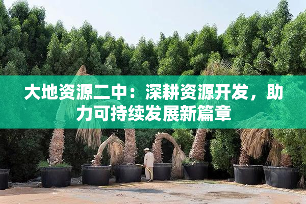 大地资源二中：深耕资源开发，助力可持续发展新篇章