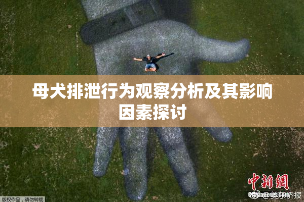 母犬排泄行为观察分析及其影响因素探讨